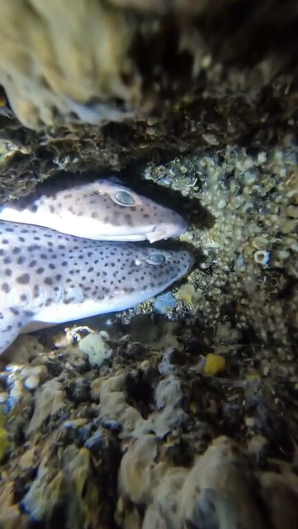 ce5975c7-a737-4188-8214-ebbd75db5203