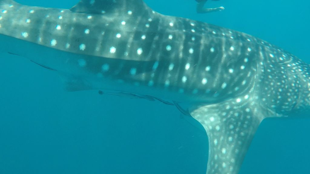 a0373172-9d07-412f-a38f-336692d04656