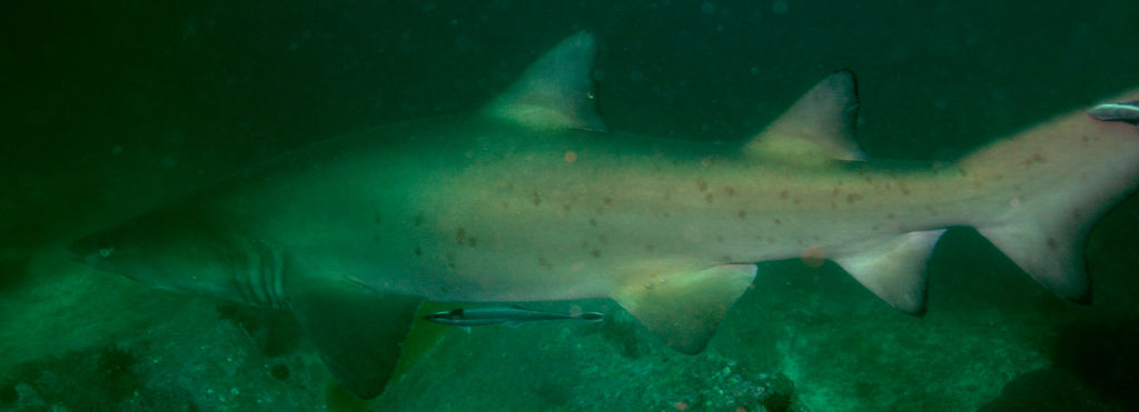 1fb95161-f21c-44d0-beb3-bd3e69a6fd6e