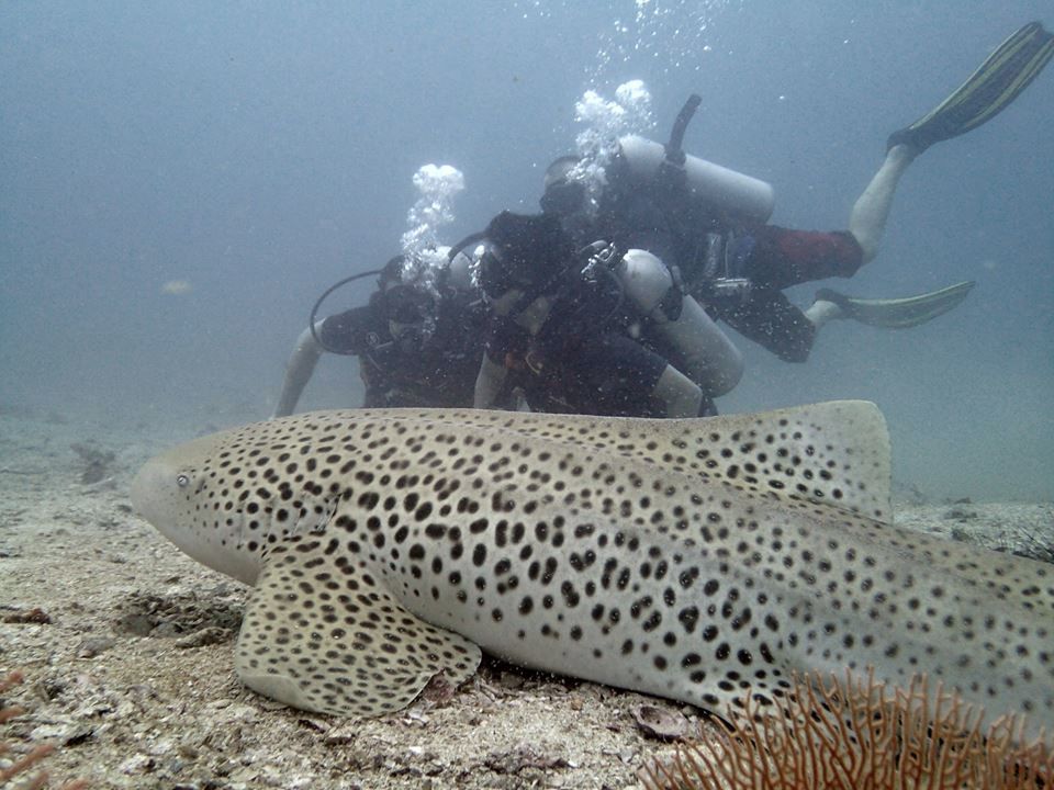 e8db6b52-ced5-4622-bd23-80420fb04af1