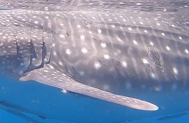 a2c5325d-0307-4593-b47d-d17075b6e83e