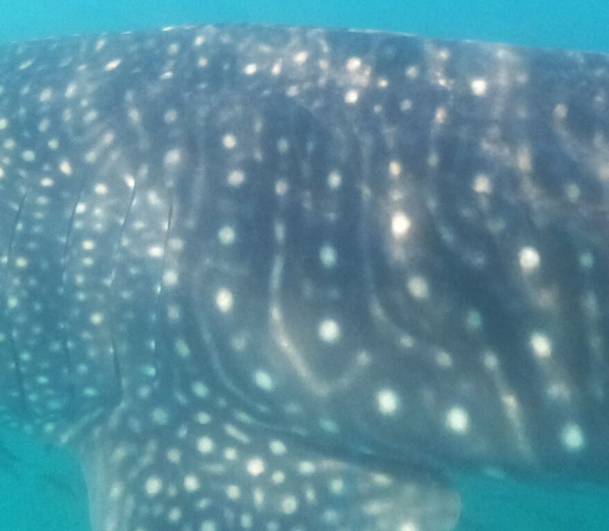 2024723d-8153-4e0a-8655-a966ea4508f7