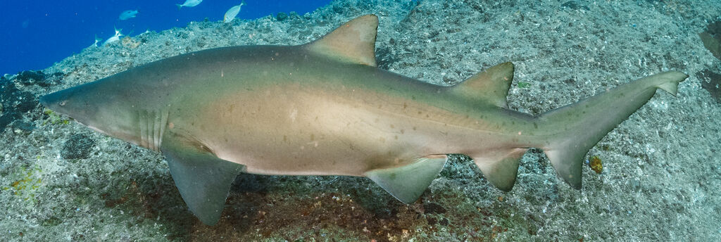 2b7fb509-f4a9-420a-99be-afbd1fb779ea