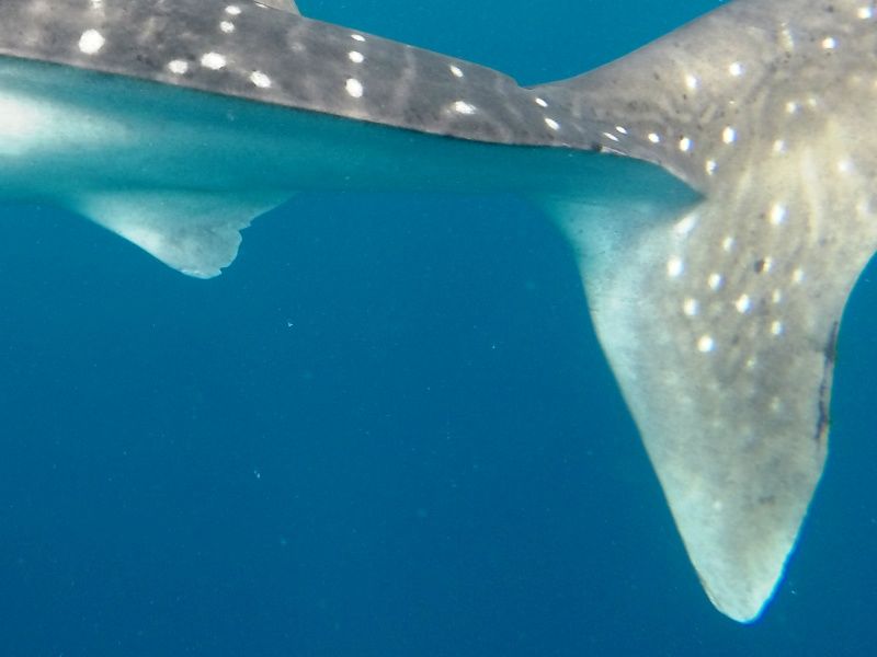 9dbfe800-f280-47f2-9509-406f5c00e8a4