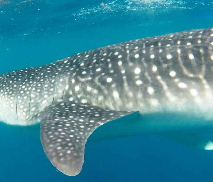 9dbfe800-f280-47f2-9509-406f5c00e8a4