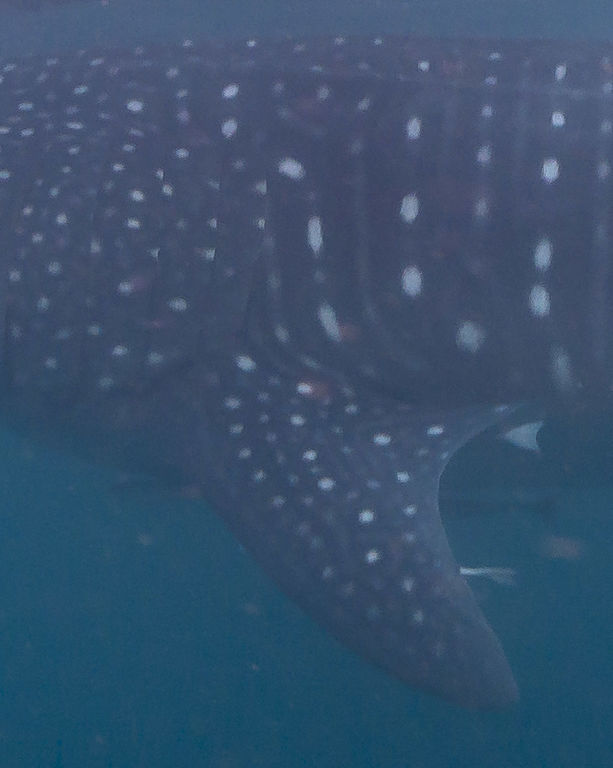 79c15306-ec71-49bd-88cb-d09dbecd9e9e