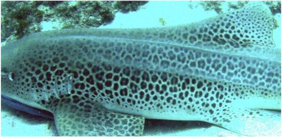 ac5b2311-e44e-4380-bebb-a8e4faed2d1f