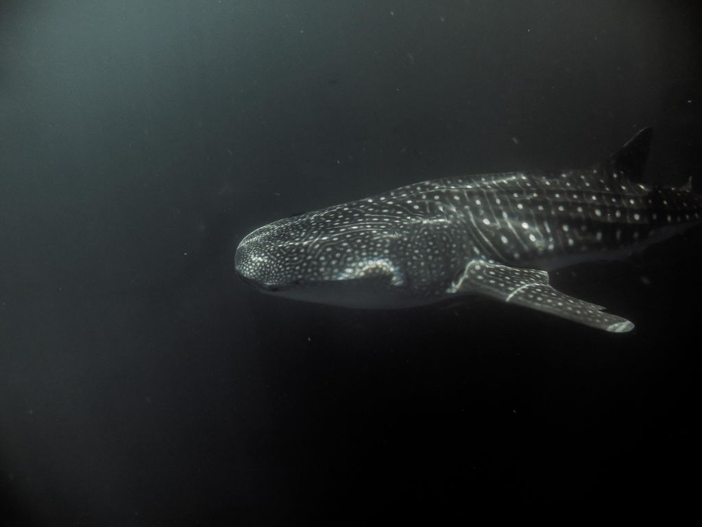 531be8b1-86ac-40e6-ab71-e97c6abf003c