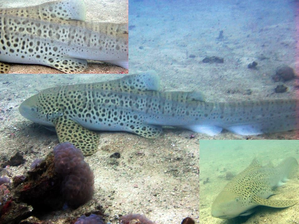 f0efb14e-3624-4edc-b44c-b9a154f0d7c6