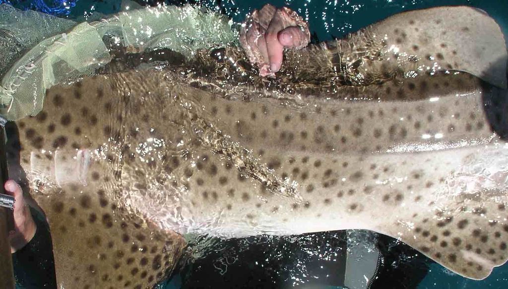 6e44dee9-f201-44ab-9ae6-bbd81a1e07c0