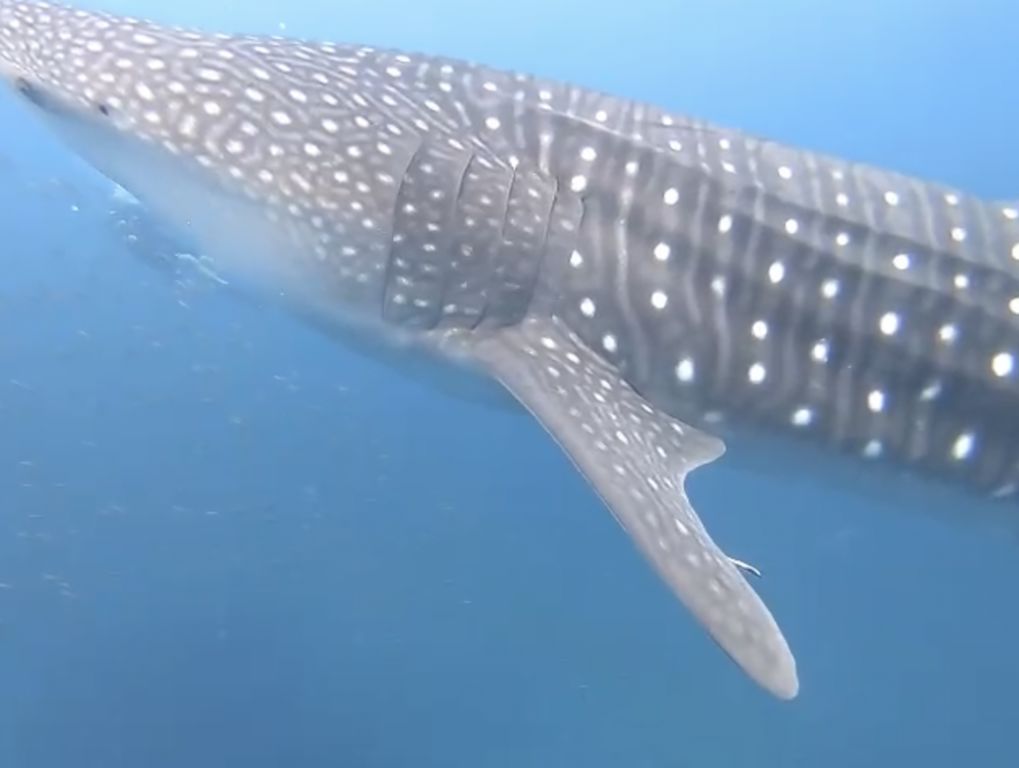 8d3beb4e-9ea3-404f-b5d9-6b52b3809bec