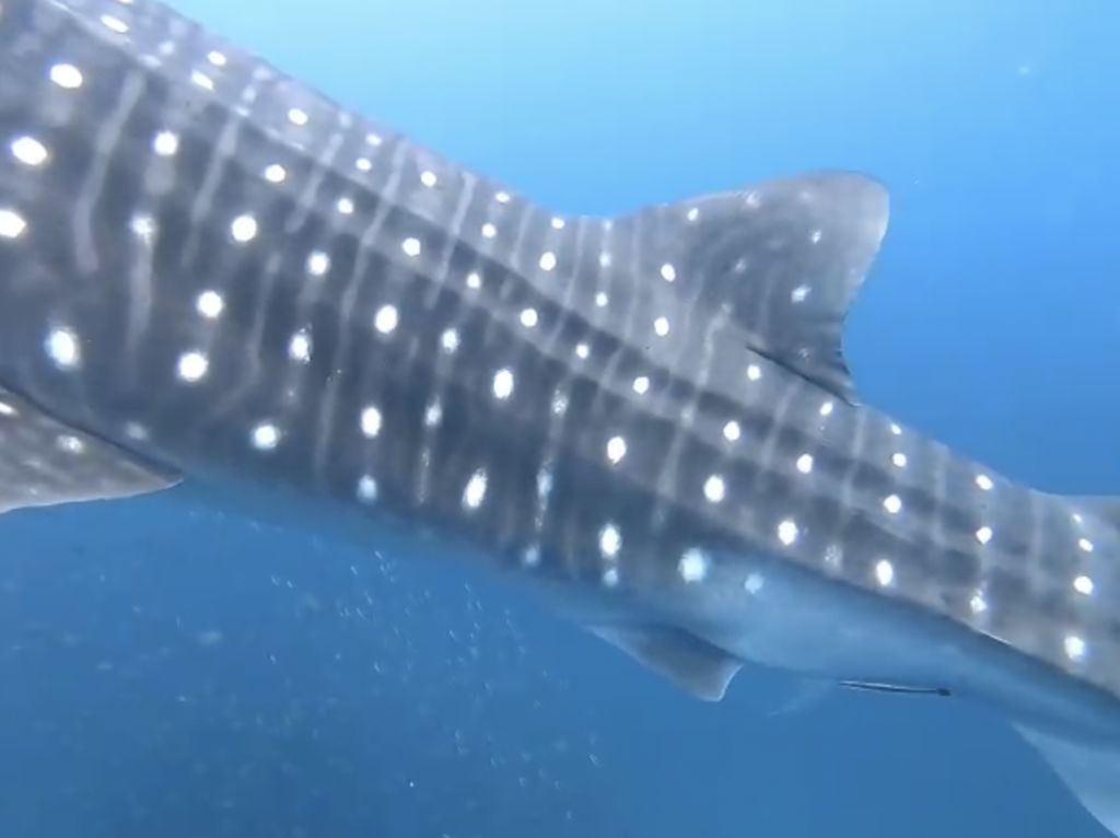 8d3beb4e-9ea3-404f-b5d9-6b52b3809bec