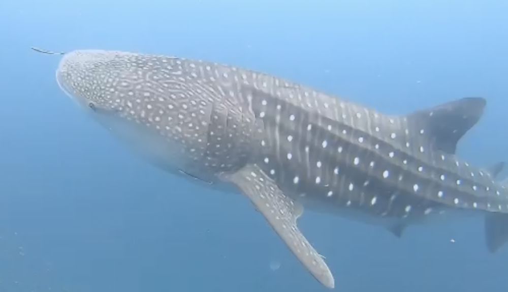 8d3beb4e-9ea3-404f-b5d9-6b52b3809bec