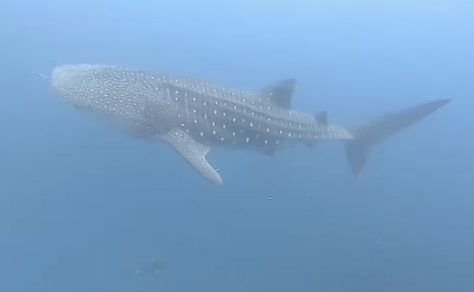 8d3beb4e-9ea3-404f-b5d9-6b52b3809bec