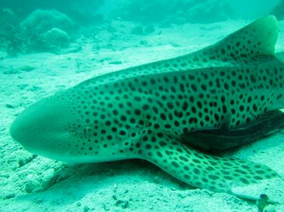 ed3db417-b611-4dfd-90cd-ce969bf144c3