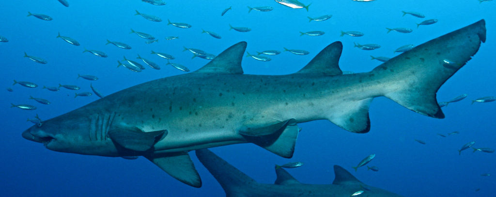 d7947b43-9ca7-436a-99ee-4bc80a723c72