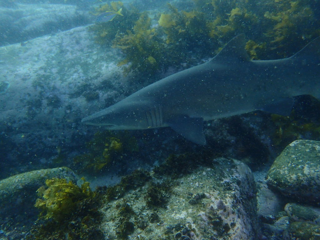 6dd7575e-a57a-4d00-bd97-6939a19645e5