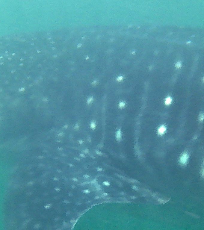 2da854e6-6d19-43ab-9ec2-b1e0bba886ff