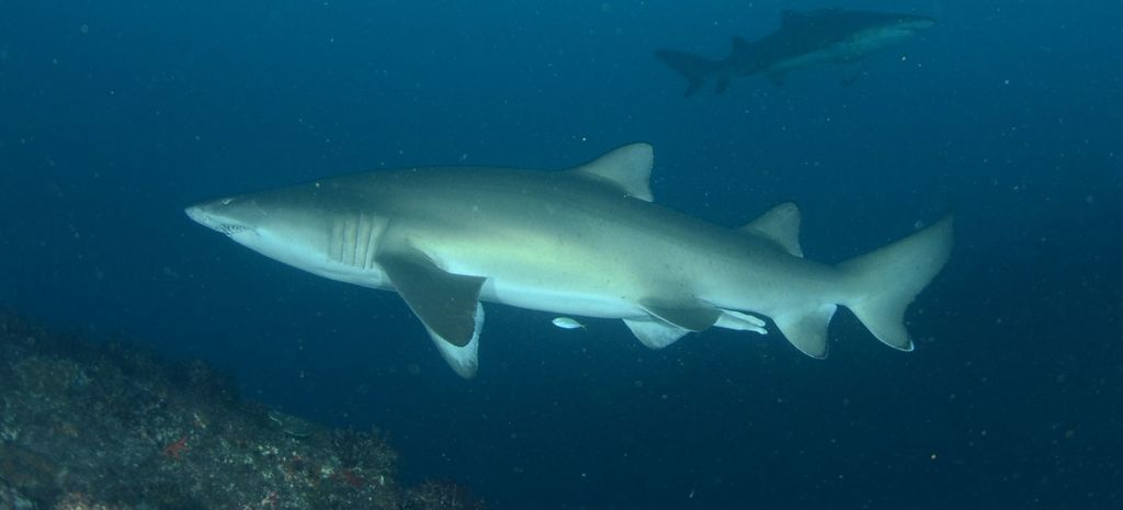 eed73539-a6b5-4dec-823e-490c7deaa3e4