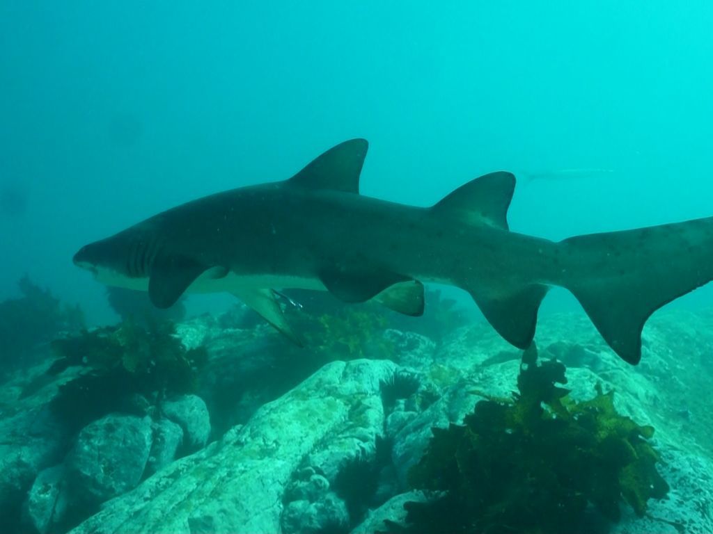 c3c6f44c-4614-4400-ae96-5c83ce794558