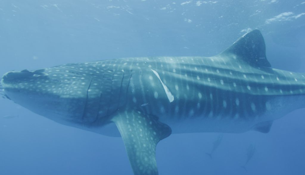 baf1d5db-b2a0-482c-adf3-4347c813443b