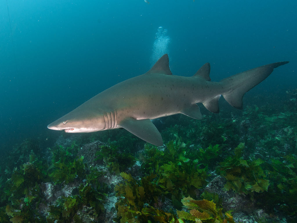 8072e4d6-be15-4db0-8307-e158d65b0505