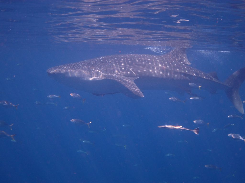 dec12996-e2eb-4870-b5c3-f633e090df3a