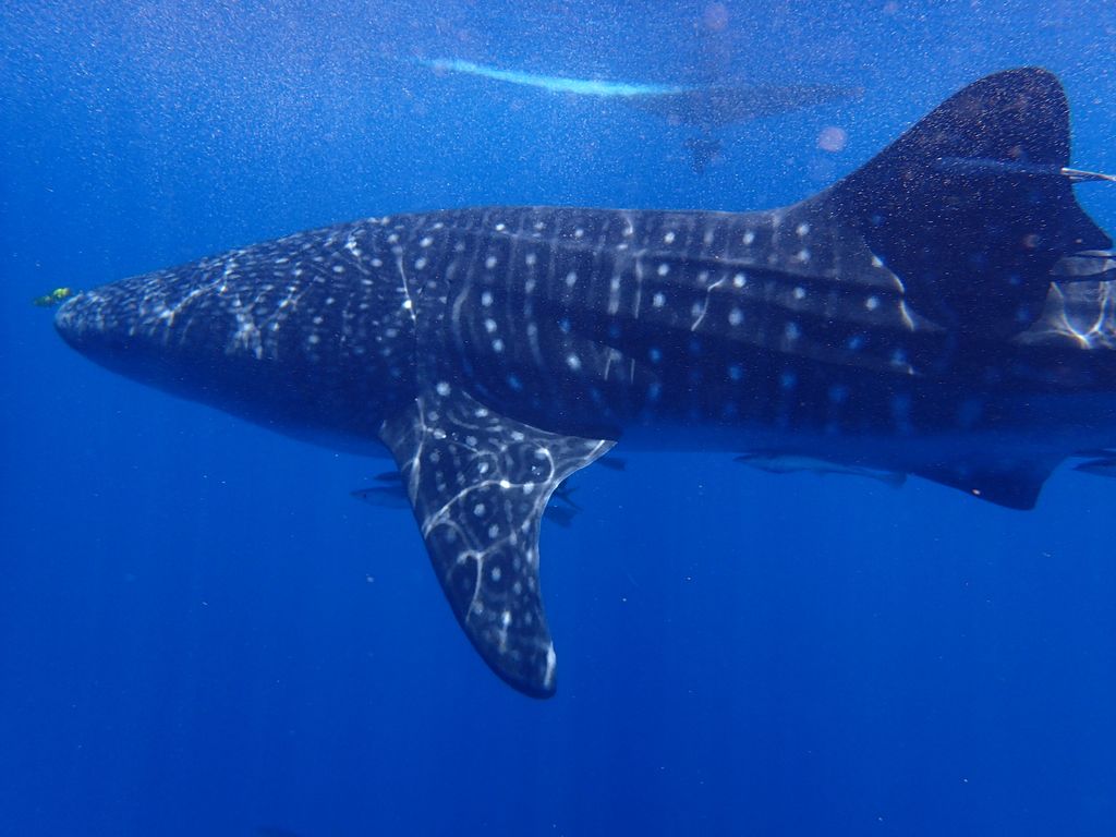 a6fe5510-a3d0-4bb6-b8b7-ae8465d1f2bb