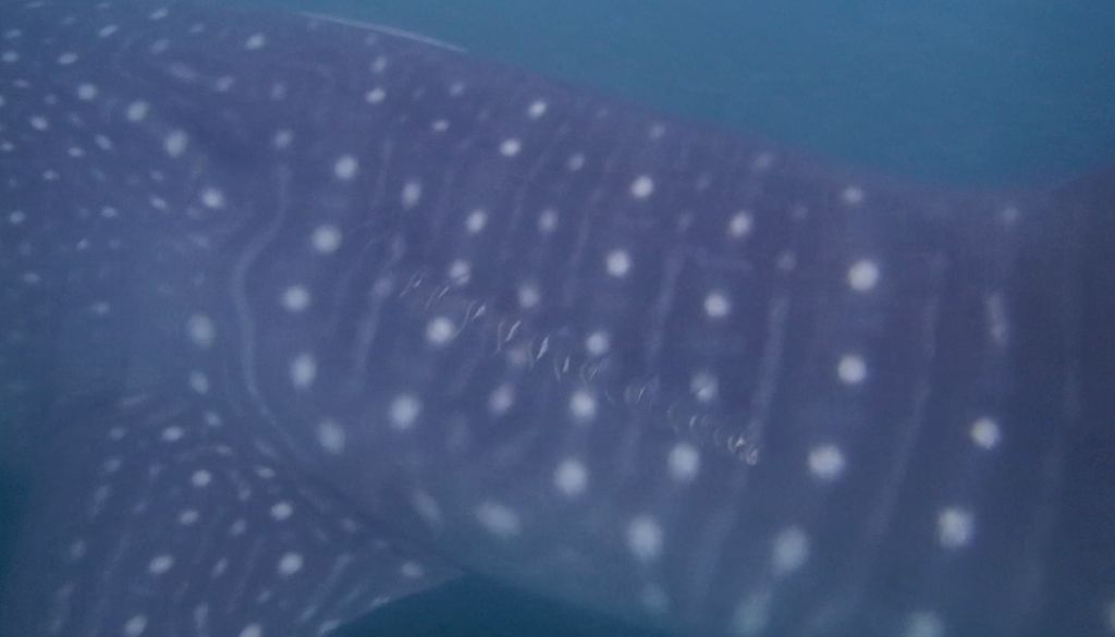 87b77126-0a98-41af-a8ef-2ede4a5a0d7b