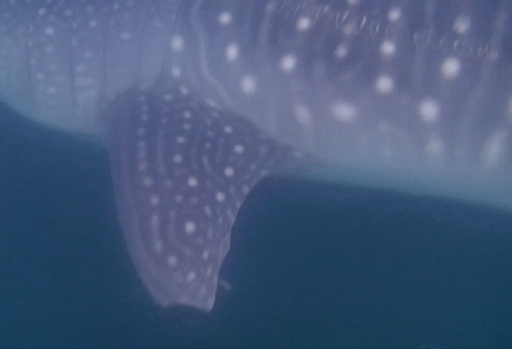 87b77126-0a98-41af-a8ef-2ede4a5a0d7b