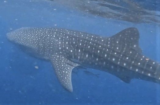 6a3d58f9-b30b-4997-a0be-0e6fce80ac64