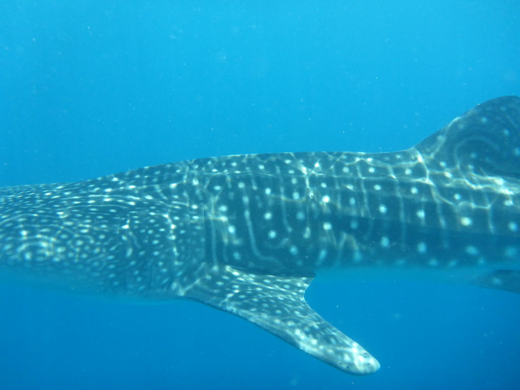 03bc4c08-a234-48e0-ad6b-d89b2529b2b1