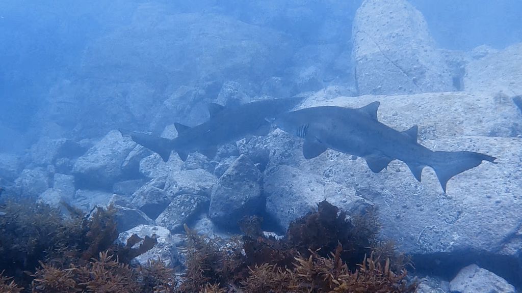 aefa7756-6249-49df-b4e8-147f04377709