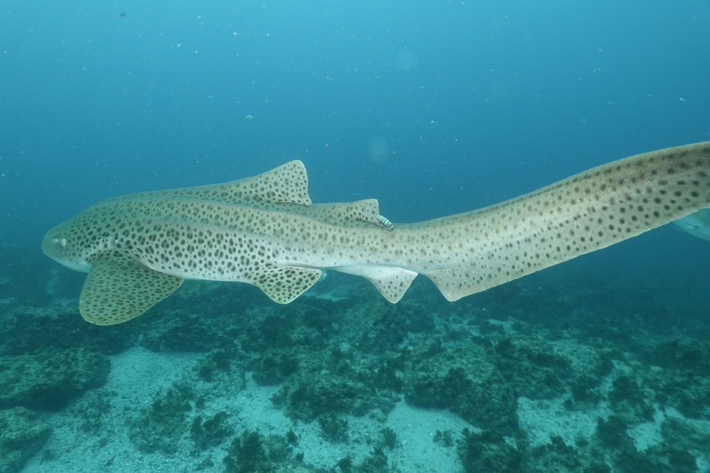 6f30a021-26b6-4dd3-b1a0-a2182fde6726