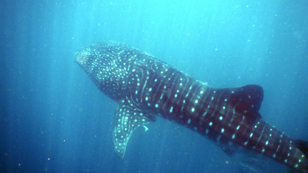 b389ccc2-e3e3-44a8-9175-783358bf7c19