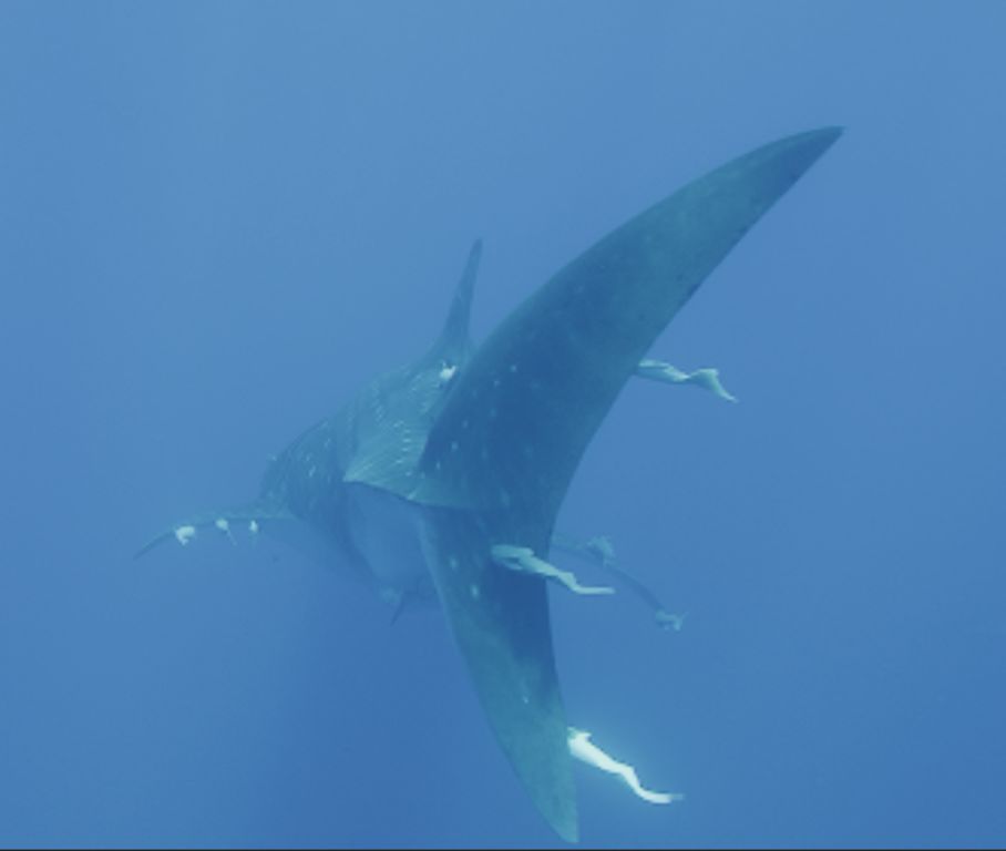 fba32f8b-e60f-4db1-a15b-3a0359045816