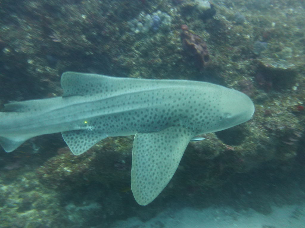 87a53278-afa3-49bc-889d-9f230851373c