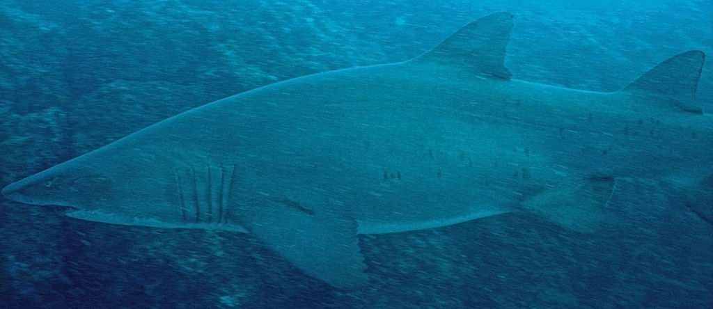 79aa622e-790e-444e-b294-8db9a0370830