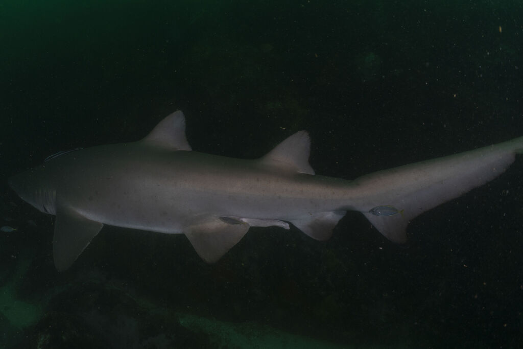 fe320e9d-278d-453e-a33f-741aaa51e333