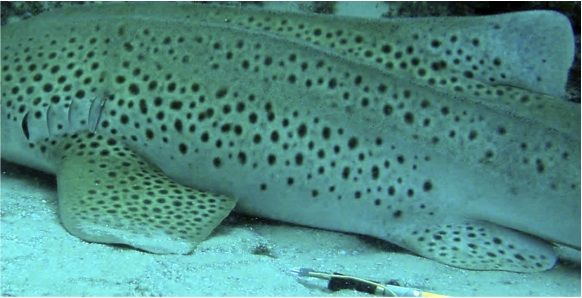 f7d28a98-6907-4cf0-bc1b-1a5be83e0691