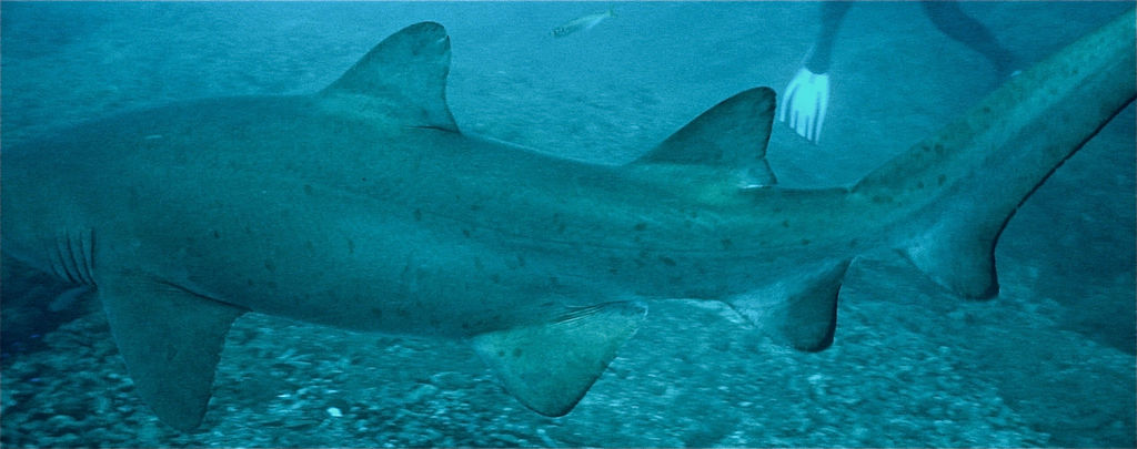 7c5c8003-2475-46ec-a316-885c20e33e28