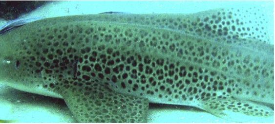 459c9ed8-e2dd-457e-ba8c-2ad09f48ad1d