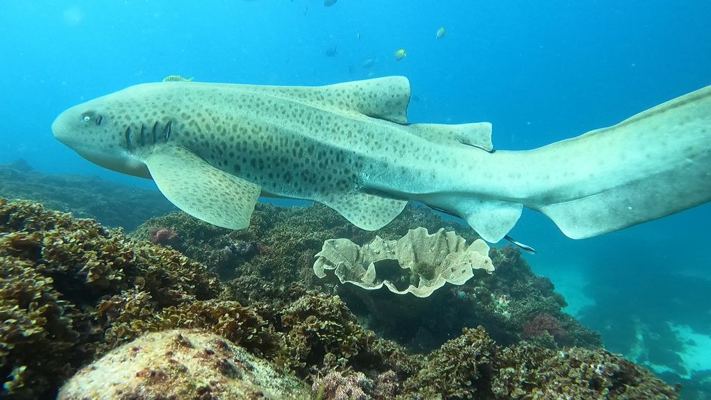 3aa1257d-81b4-488d-8deb-84c082645632