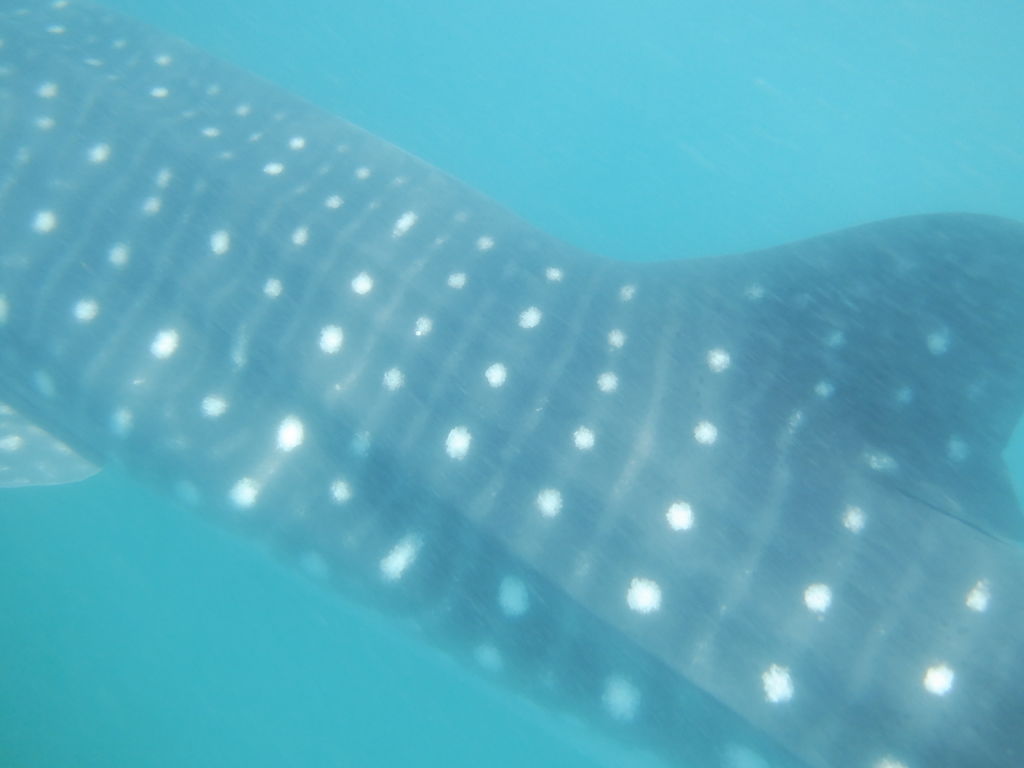 d81eb7c5-78be-42aa-9c0f-c6078c9a3a12