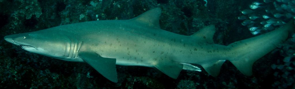 b8103dad-2311-45dc-bf44-7eda27bce3e4