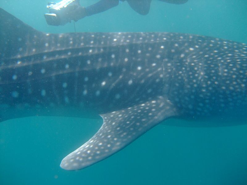 6bbf88da-7537-4a58-84e1-cec1078b064b