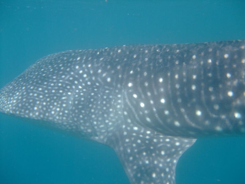 6bbf88da-7537-4a58-84e1-cec1078b064b