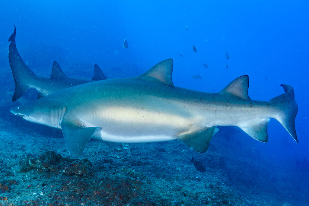 9bb9b923-eb2f-4d9f-9b8e-0a8e39c4c8ae