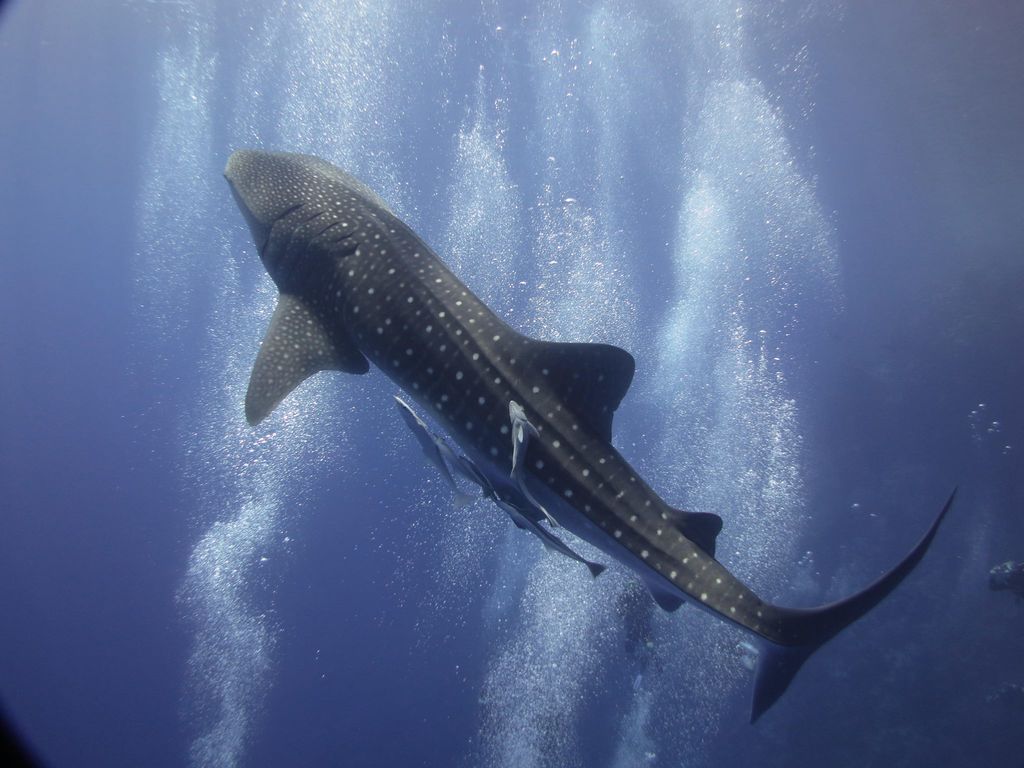 6e66aa6f-58aa-4104-b837-65e9ebef2062