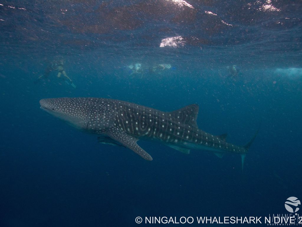 fe48e566-6252-436b-a773-d2232ea07399